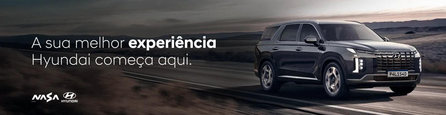 institucional hyundai